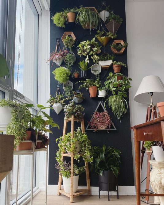 Upcycling DIY Plants